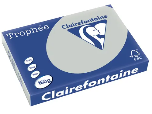 Trophée Pastel A3 160 gram 250 vel lichtgrijs
