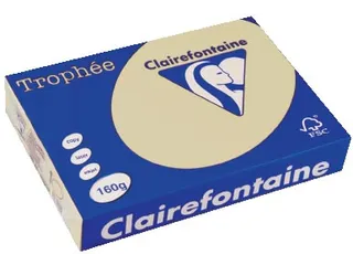 Trophée Pastel gekleurd papier A4 160 gram 250vel Chamois gems - 1
