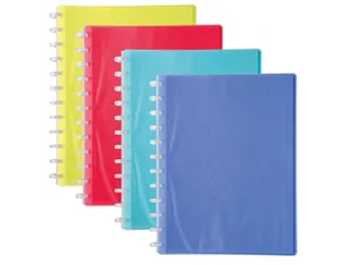 Showalbum LINICOLOR PP ring 20 tas ass - 5