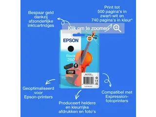 Inktcartridge Epson 250 T16N14 zwart - 2