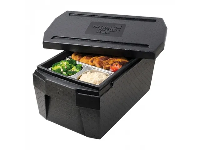 Thermobox Deluxe 45 liter, 250mm 1/1 GN