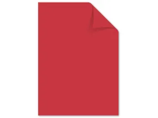 Papier Kangaro A4 80grs assorti pak 100 vel (10x10) - 6