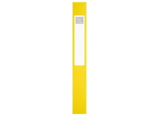 Klasseerdoos rug 40m m PP Forever Young - 25
