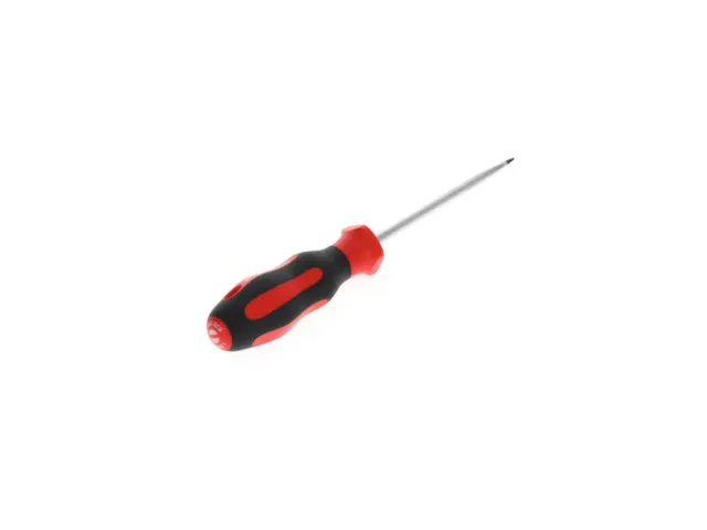 R38105519 2C schroevendraaier sleuf 5,5mm 1x100mm
