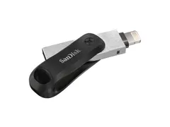 Sandisk SDIX60N-256G-GN6NE USB Stick 256 GB