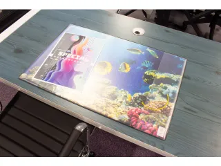 Bureauonderlegger Kangaro PP 38x58cm dessin aquarium - 4