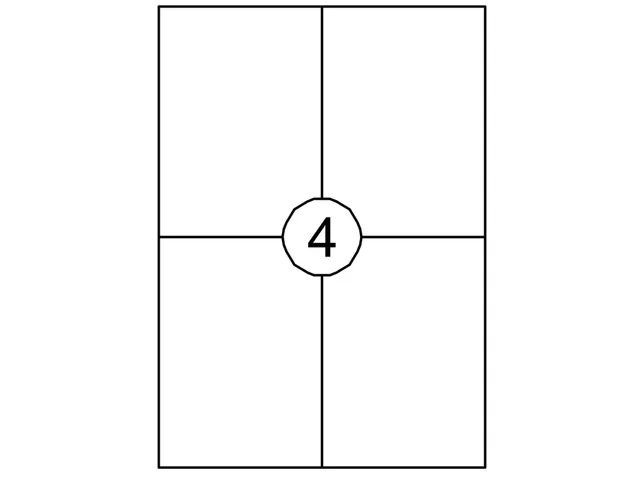 Etiket Avery DP004-100 105x149mm kopieren wit 400stuks