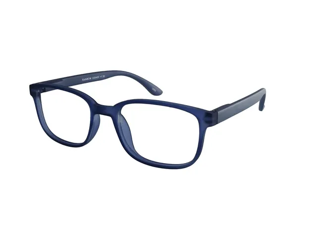 Leesbril I Need You +2.50 dpt Rainbow blauw