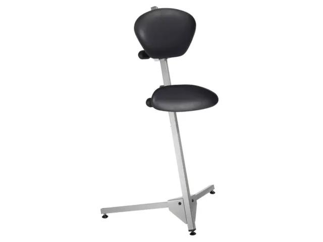 Stahulp Staalbuis Zitting Skai Zwart Onderstel Grijsaluminium