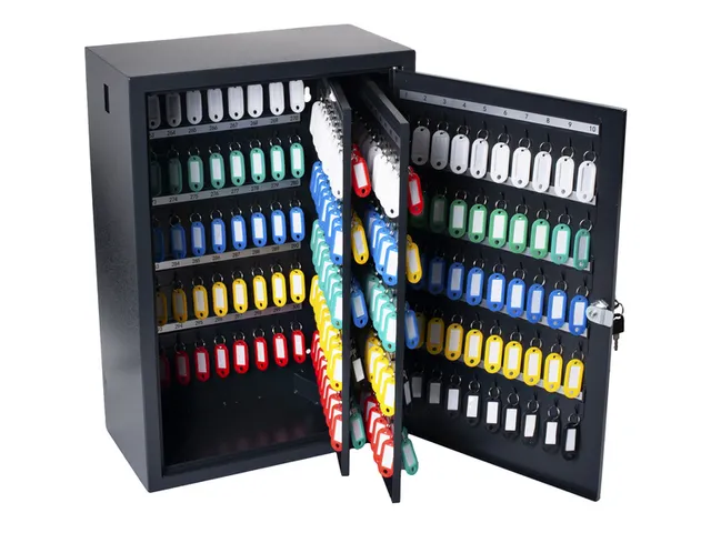 Sleutelkast Pavo deluxe 300 haken 530x380x220mm cilinderslot grijs