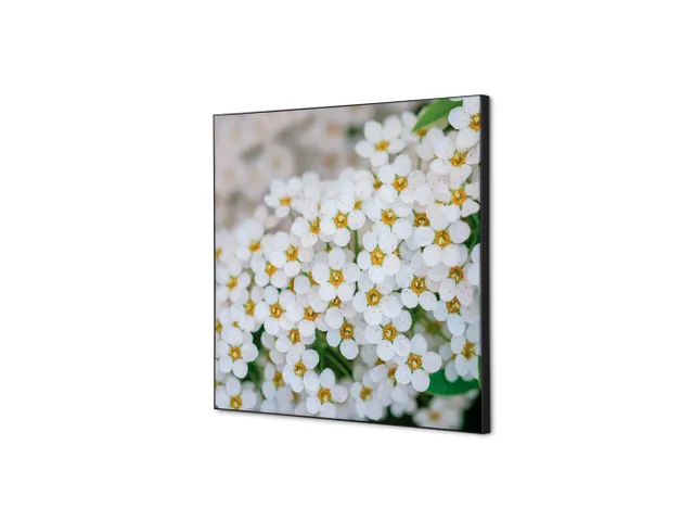 Wanddecoratie Textiel Set 40x40cm Witte Bloem Spirea
