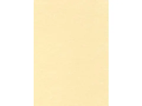 Decadry Structuurpapier Champagne A4