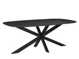 Vergadertafel Harper Deens Ovaal 200x100cm Zwart blad met Spinpoot