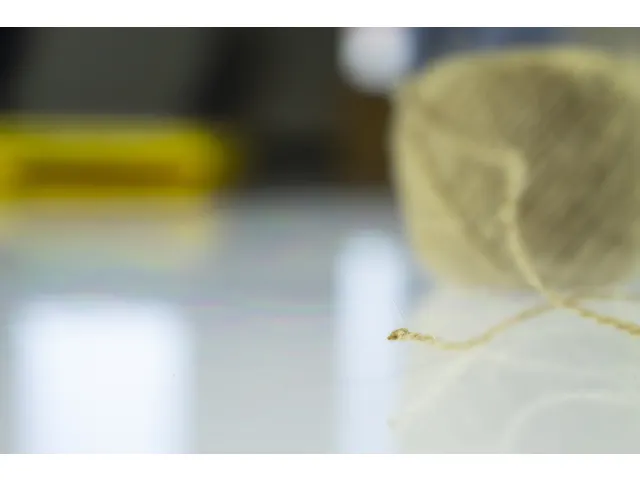 Bindtouw Kangaro 3 rol à 50 meter