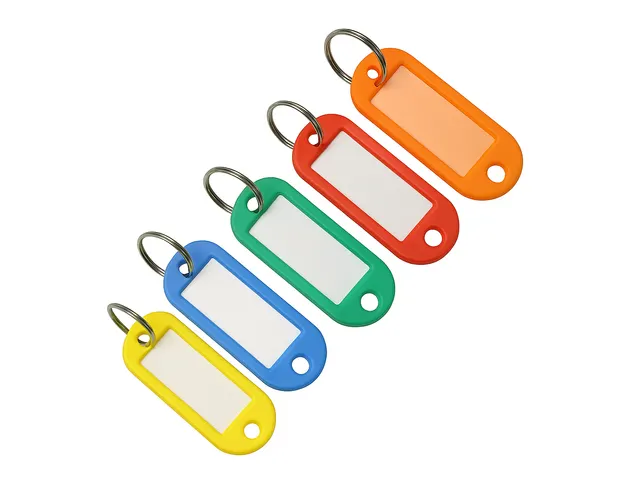Sleutelhanger 23x45mm Assorti 25 Stuks