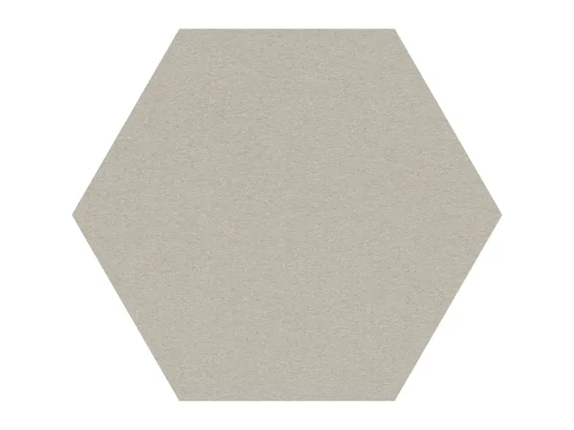 Prikbord Zeshoek Grijs Kleur 2206 Bulletin Paneel Ø 60cm frameloos