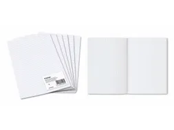 Geruit Ministerpapier A4 5x5mm 80 Gram 960 Bladzijden