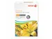 Colotech+ papier A4 160 gram 250 Vel Wit 003R99014