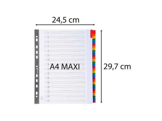 Tabblad Karton 160 Gram A4 + index 31 tabs wit