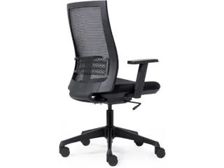 Bureaustoel Basic Ergo Net Zwart Lendensteun - 4
