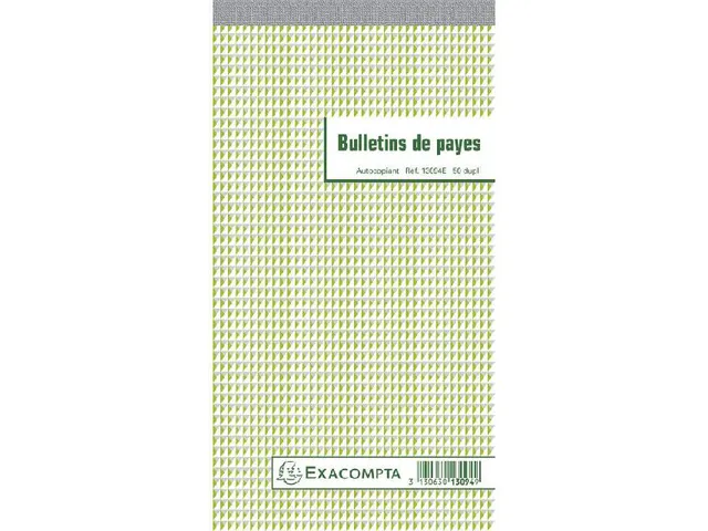 Loonbriefjes 24x13,5 50 vel dupli