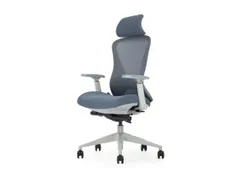 Ergonomische Bureaustoel 600 NEN-EN 1335 Grijs Mesh met Hoofdsteun