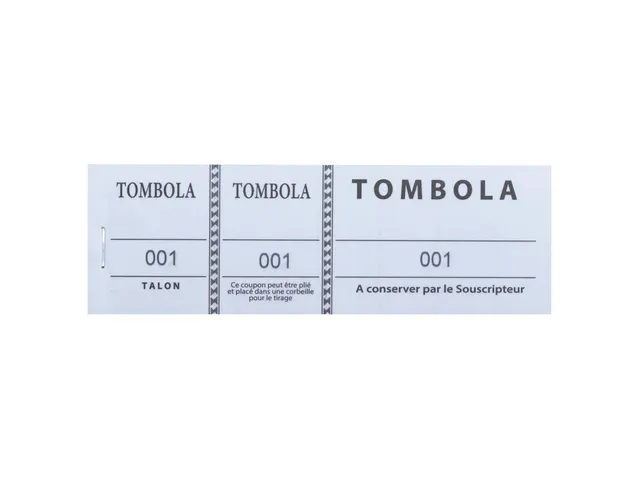 Tombola 3 Part 4.5x1 5 100 Sheets Ast