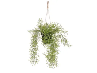 Kunstplant Mica Rhipsalis hangend in pot groen 40x20cm - 1