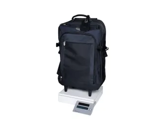 Pakketweger MAUL Parcel S 30x30cm solar 50kg - 4