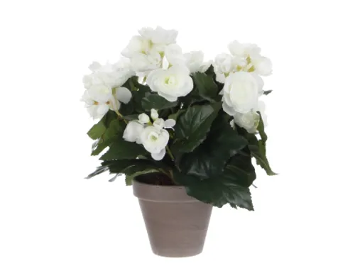 Kunstplant Mica Begonia wit in pot Stan grijs 25x30cm