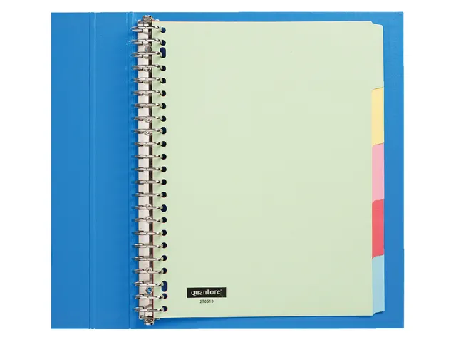 Tabbladen Quantore A4 23-gaats 5-delig assorti karton