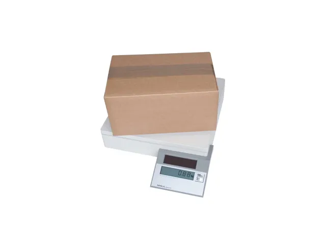 Pakketweger MAUL Parcel S 30x30cm solar 50kg