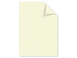 Papier Kangaro A4 120grs ivoorwit pak 250 vel