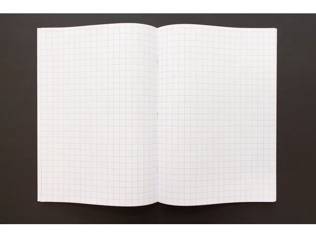 Schrift A4 80 blz geruit 10mm, krimp à 5 stuks