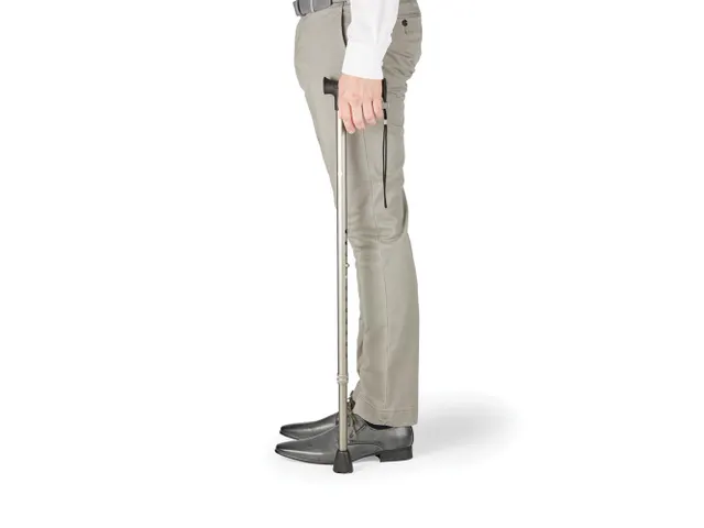 Wandelstok Grijs 77-104.5 cm