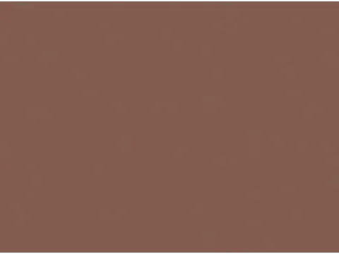 Duni Placemats Papier 30x40cm Chestnut 4x250 stuks