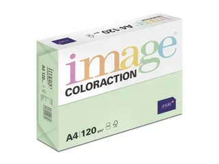 Kopieerpapier Forest Middelgroen A4 120 Gram 250 Vel - 1