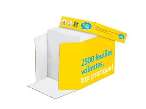 Datacopy Kopieerpapier A4 80 Gram Quickpack Pallet