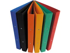 ringmap voor A4 glanskarton 2 ringen 25 mm assorti