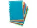 Intercalaire A4 PP Forever 10 onglets assorti