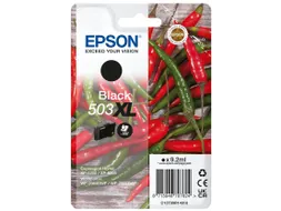 Epson inktcartridge 503 XL Singlepack C13T09R14010 Zwart 550 pagina's