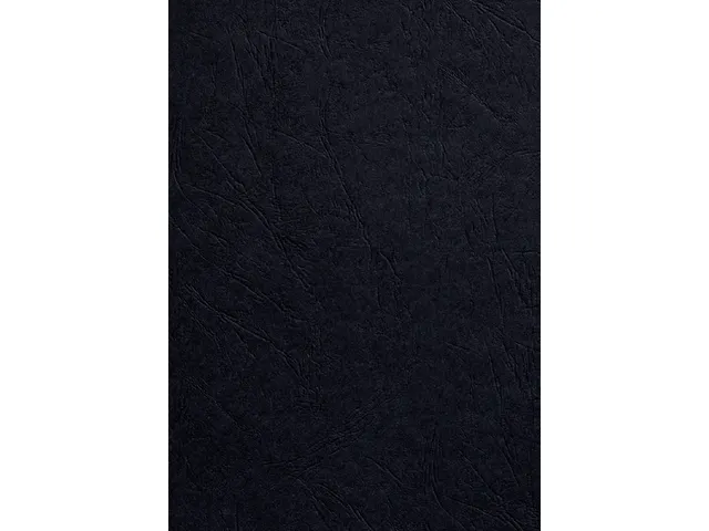 Voorblad Fellowes A4 Lederlook Zwart 250 Gram