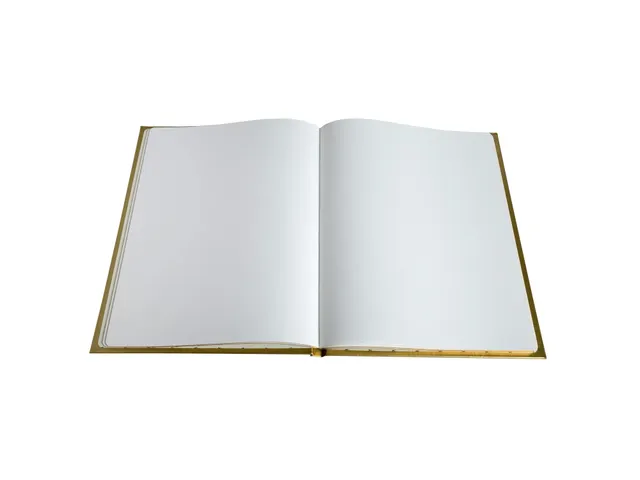 Livre d'or Balacron avec titre 100 pages blanches - 27x22 cm vertical