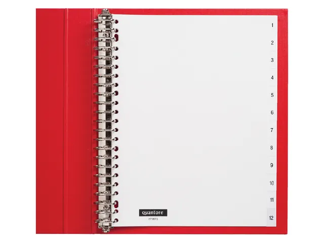 Tabbladen Quantore A4 23-Gaats 1-12 Genummerd Wit Pp