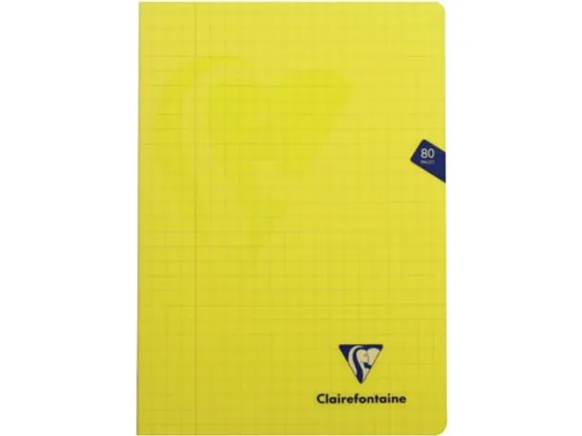 Schrift Pp A4 80Blz ruit 10mm Assorti