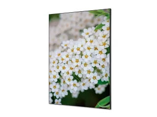 Wanddecoratie Textiel Set A1 Witte Bloem Spirea - 1