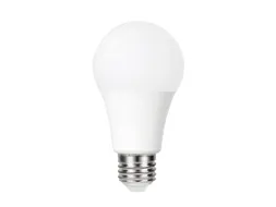 Ledlamp Integral E27 5000K koel wit 4.8W 470lumen dag/nacht sensor