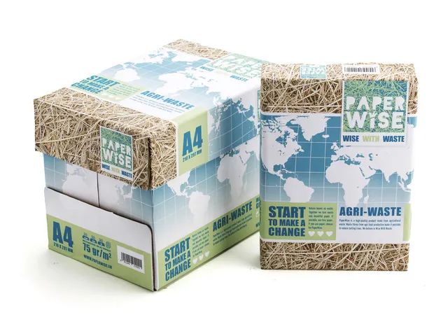 Kopieerpapier PaperWise A4 wit 75 grams doos a 5 pakken