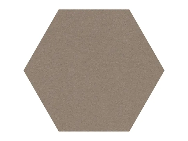 Prikbord Zeshoek Bruin Kleur 2208 Bulletin Paneel Ø 60cm frameloos