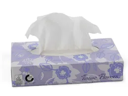Facial tissues Celtex 2-laags 100 vel doos a 40 dispenser